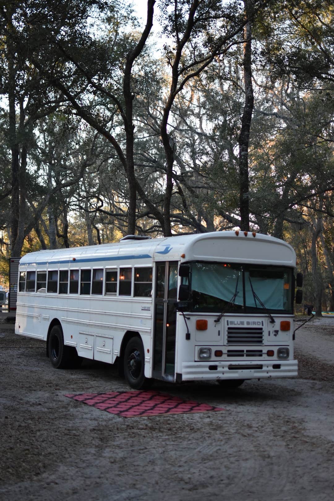 Camper-submitted photo at Gilchrist Blue Springs State Park Campground near Trenton, FL