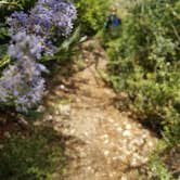 Review photo of Valley Forge Trail Camp hike in. no drive by CodyRay C., May 25, 2018