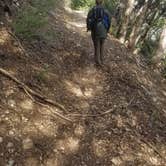 Review photo of Valley Forge Trail Camp hike in. no drive by CodyRay C., May 25, 2018