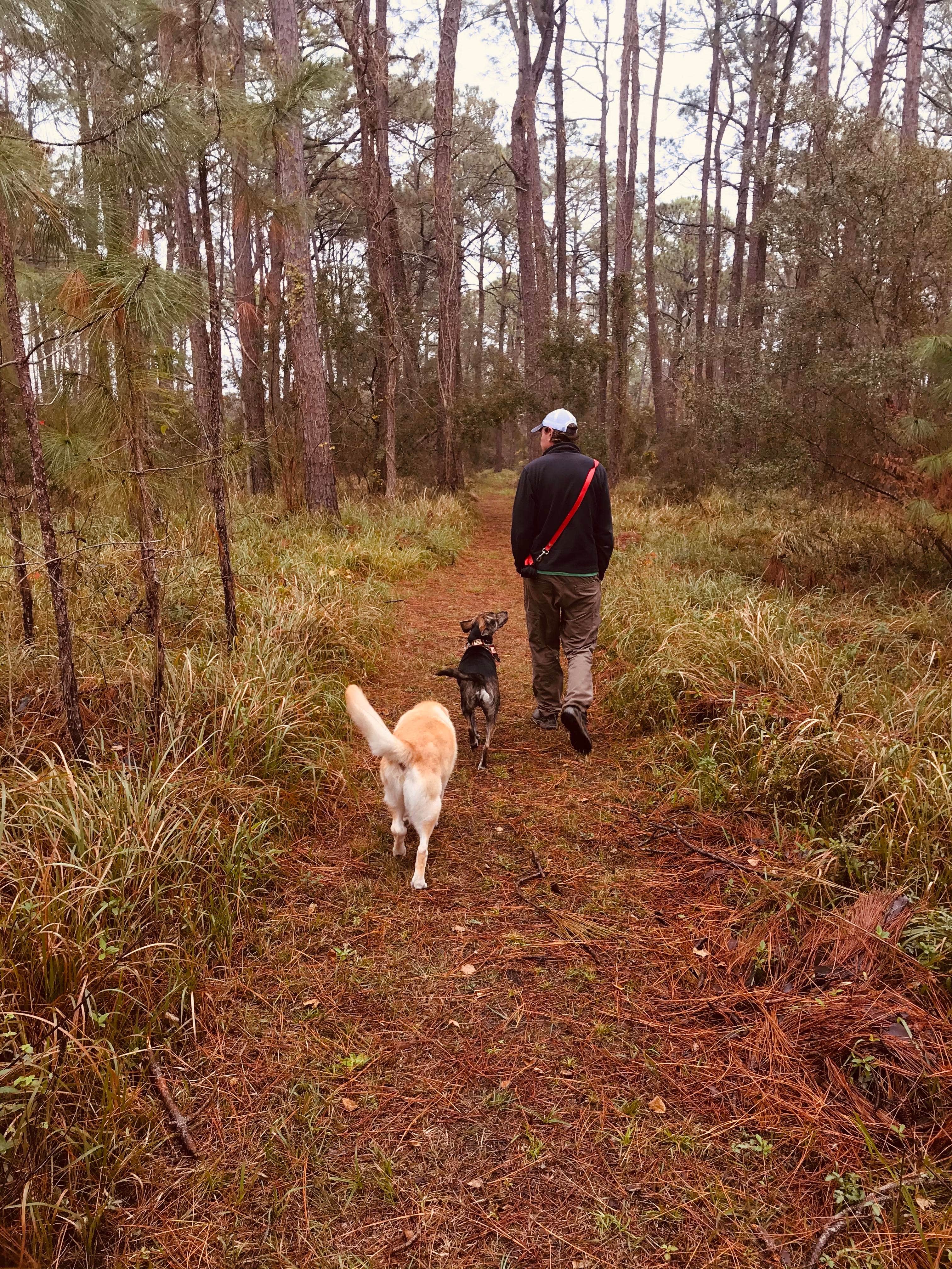 Camper-submitted photo at Meaher State Park Campground near Robertsdale, AL