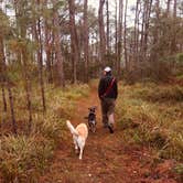 Review photo of Meaher State Park Campground by Purdash , December 21, 2020