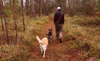 Purdash's photo of camping with pets at Meaher State Park Campground near Magnolia Springs, AL