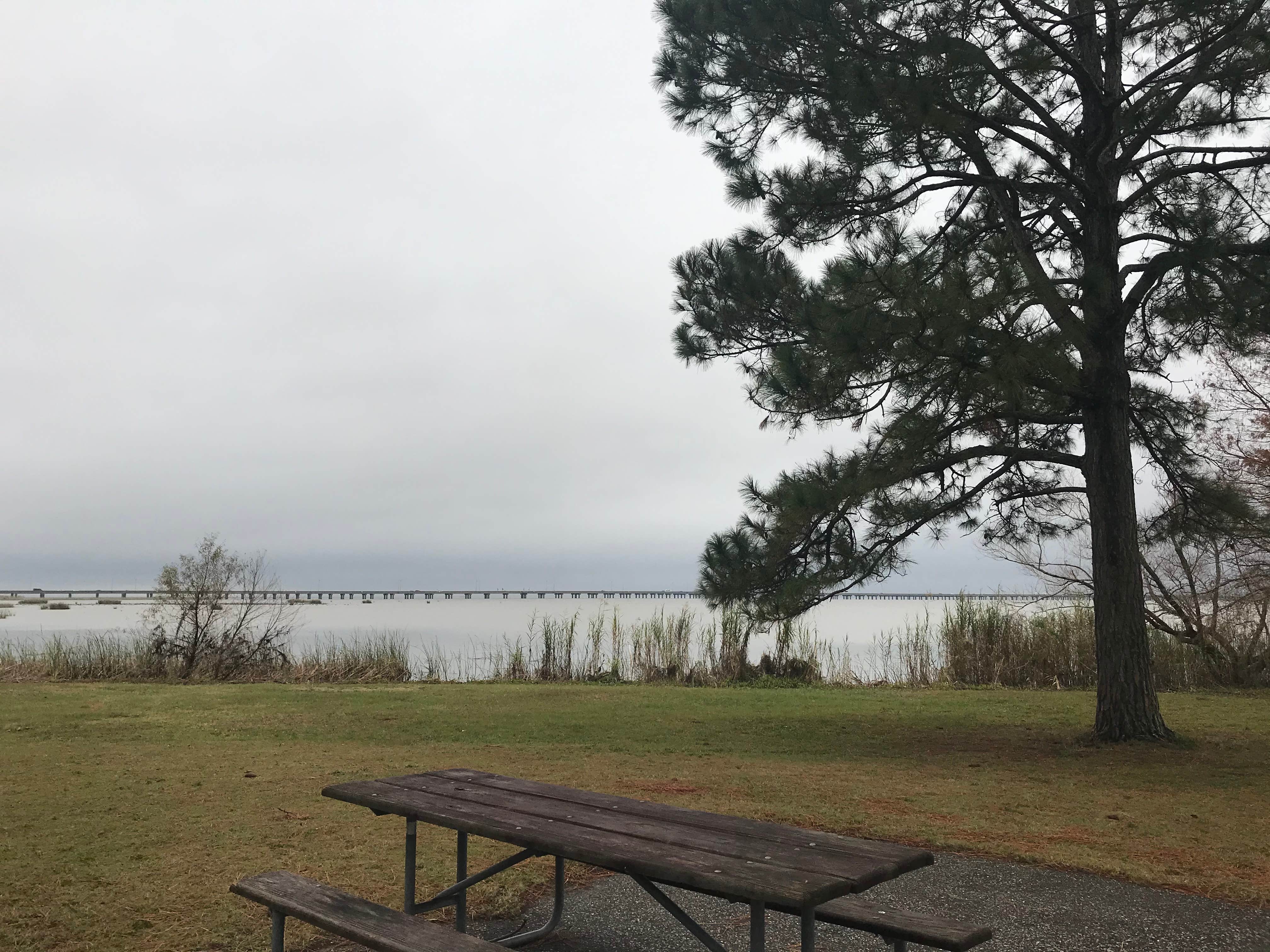 Camper-submitted photo at Meaher State Park Campground near Robertsdale, AL