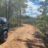 Review photo of Weogufka State Forest Flagg Mtn by Asher K., December 21, 2020