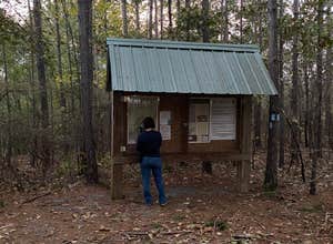 Weogufka State Forest Flagg Mtn