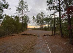 Weogufka State Forest Flagg Mtn