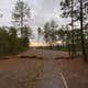 Weogufka State Forest Flagg Mtn