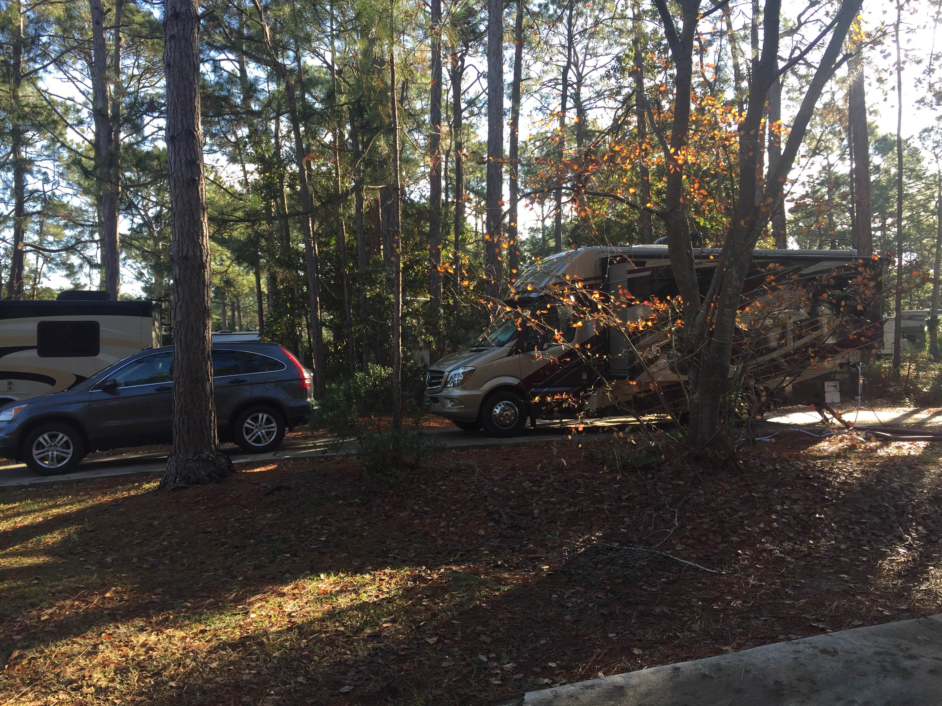 Camper-submitted photo at Topsail Hill Preserve State Park Campground in Florida