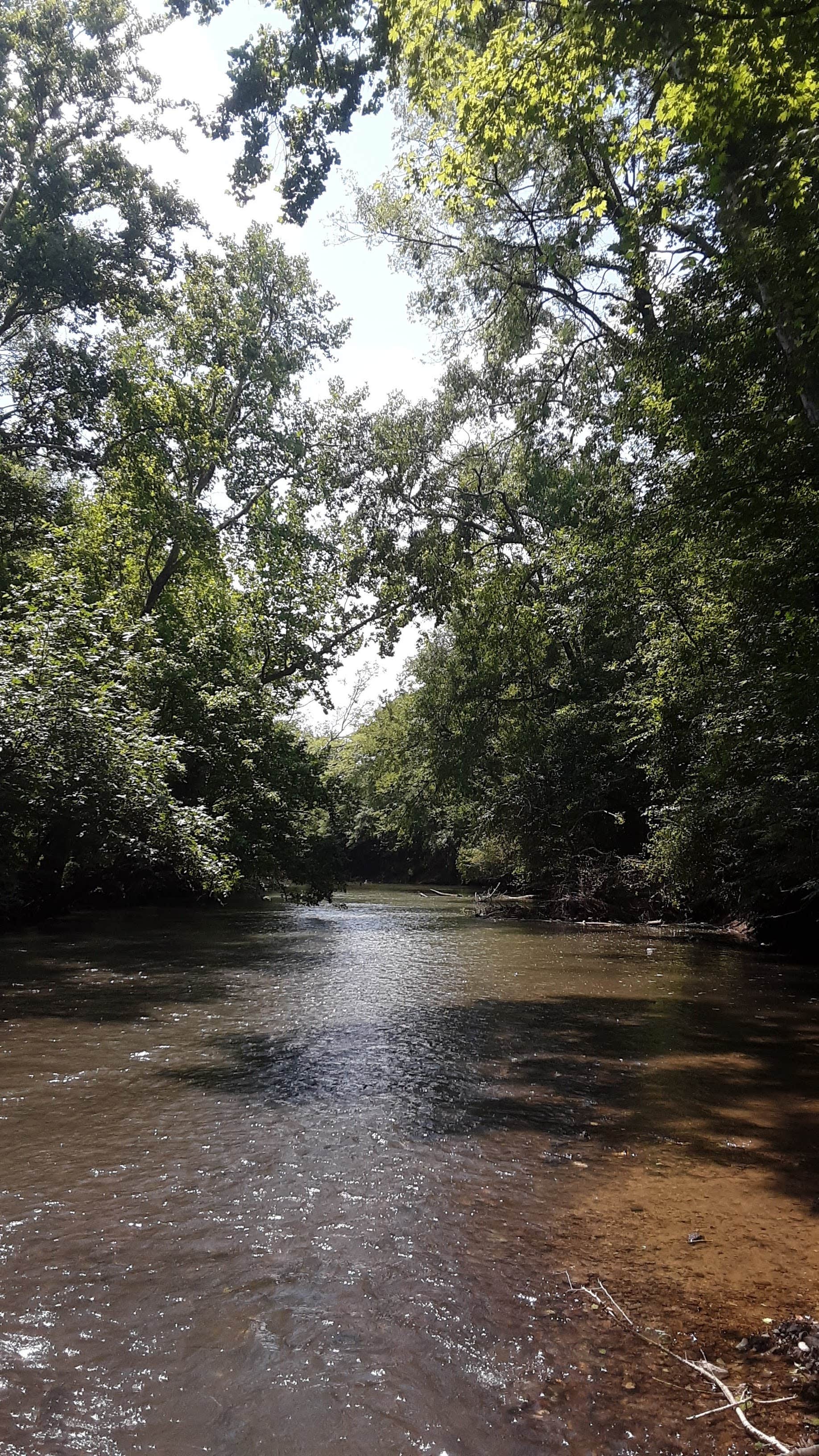 Camper-submitted photo at Big Wills Creek Campground and Tubing near Choccolocco, AL