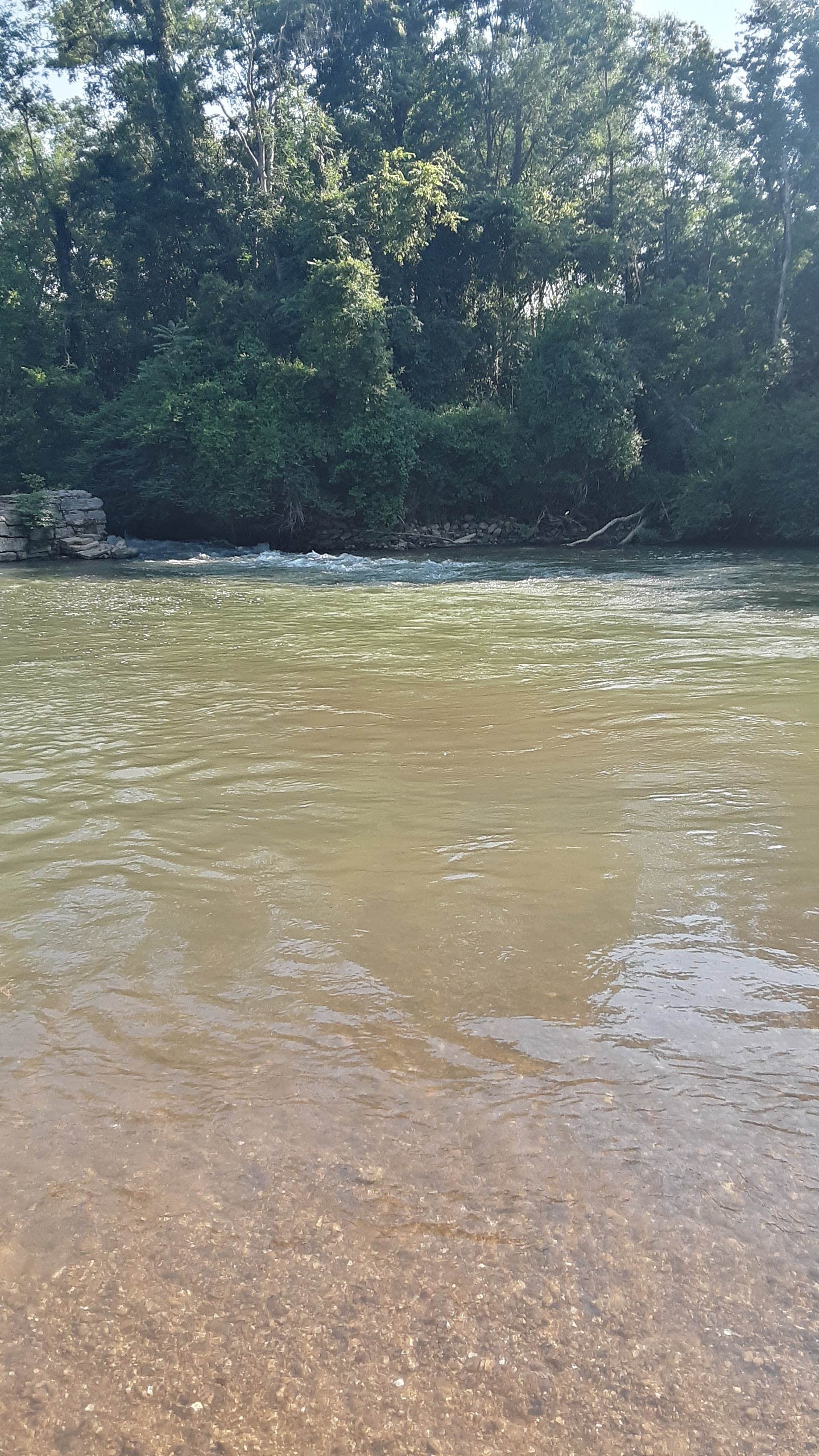 Camper-submitted photo at Big Wills Creek Campground and Tubing near Choccolocco, AL