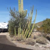 Review photo of Twin Peaks Campground — Organ Pipe Cactus National Monument by Larry B., December 21, 2020