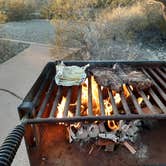 Review photo of Twin Peaks Campground — Organ Pipe Cactus National Monument by Larry B., December 21, 2020