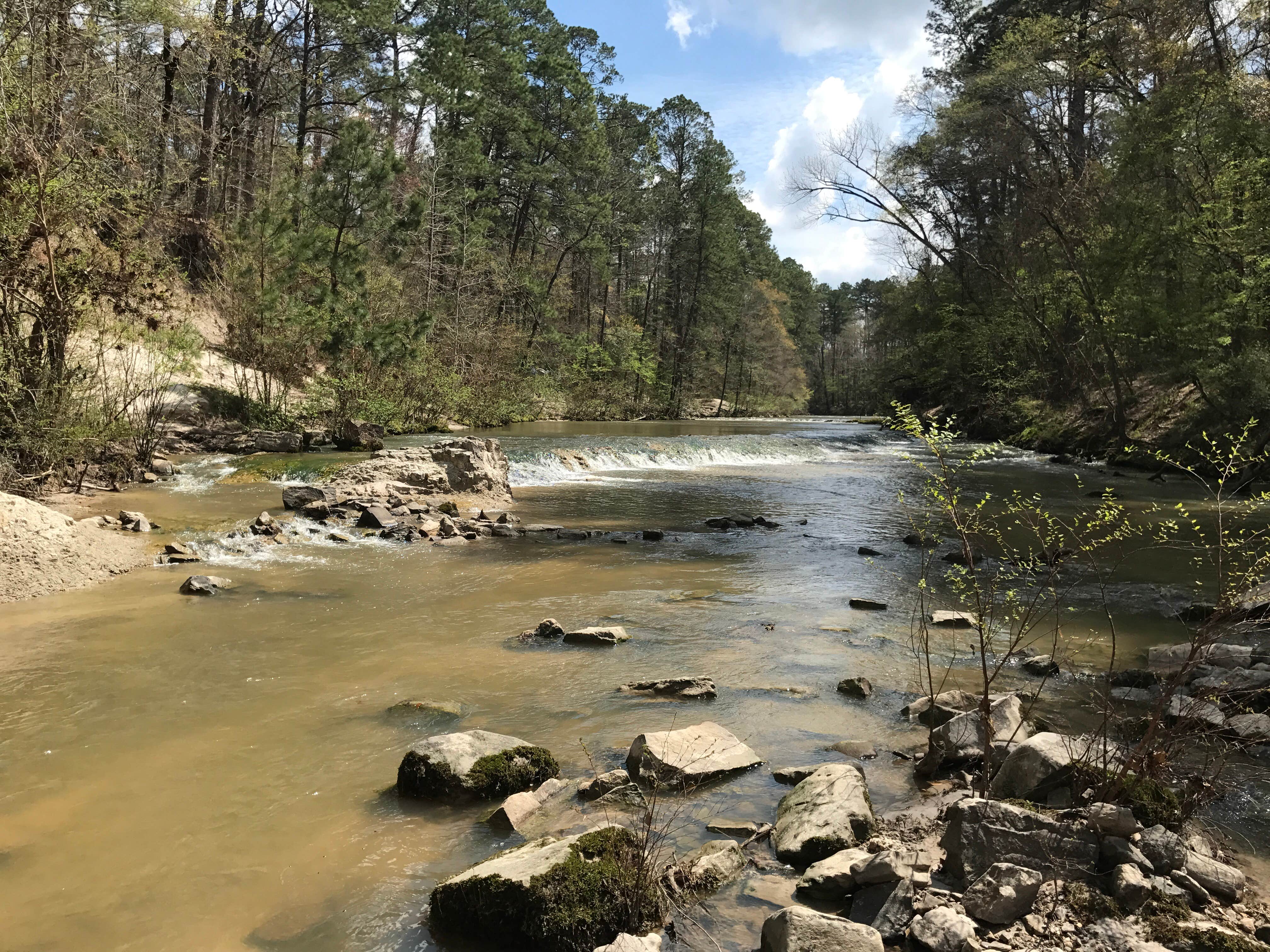 Camper submitted image from Kisatchie Bayou NF Campground - 3