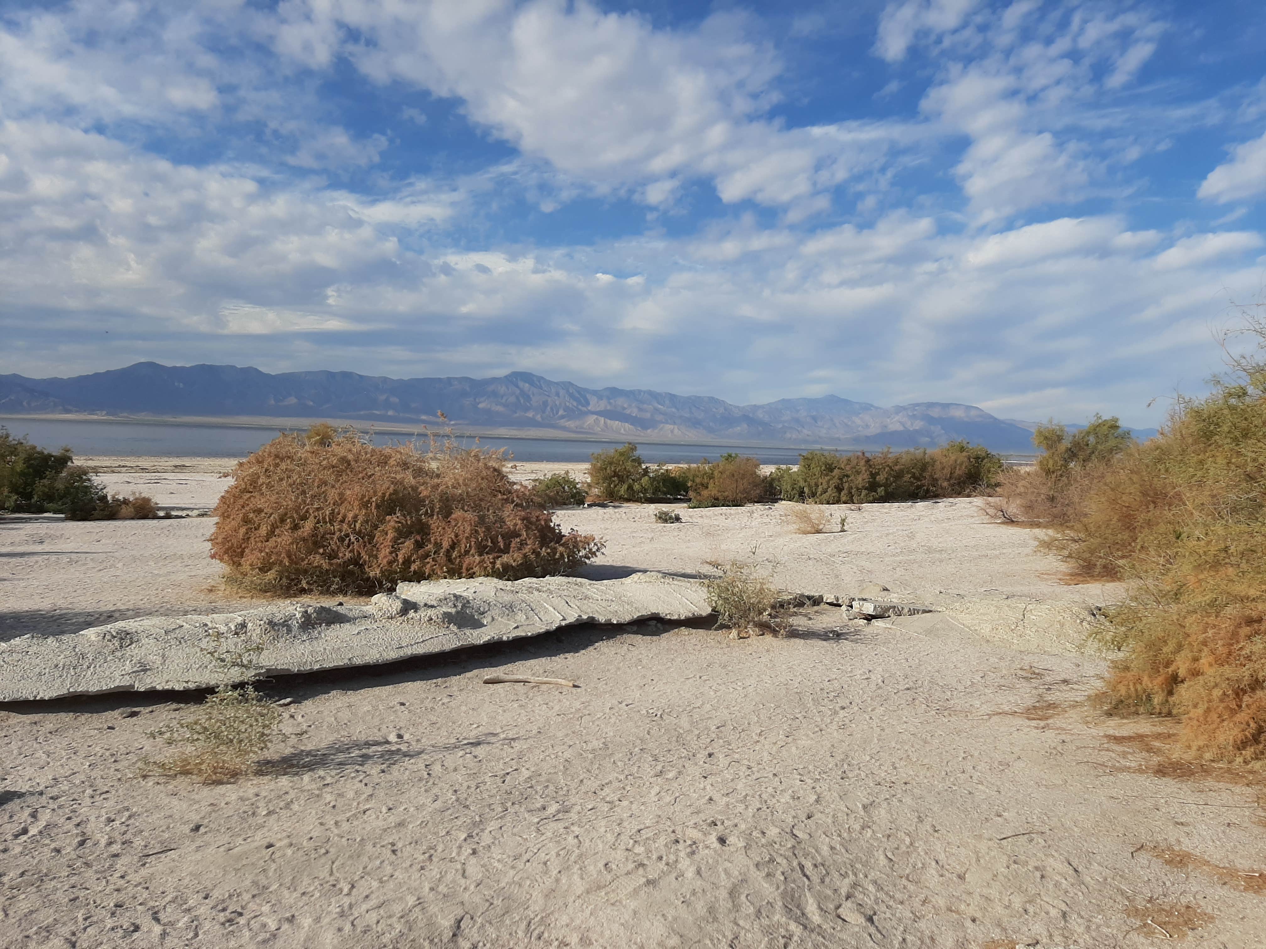 Camper-submitted photo at Salton Sea Sra near Salton City, CA