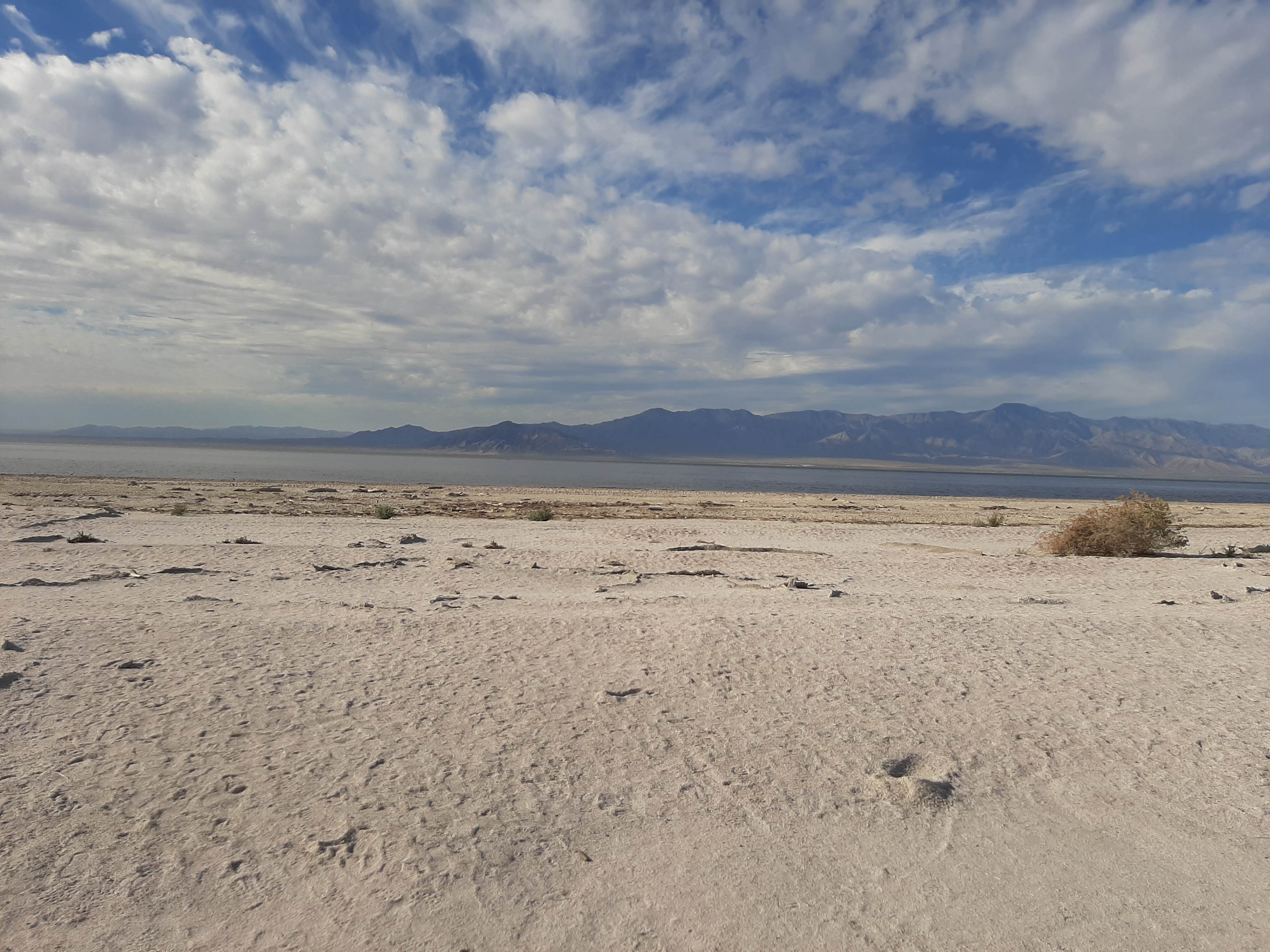 Camper-submitted photo at Salton Sea Sra near Salton City, CA