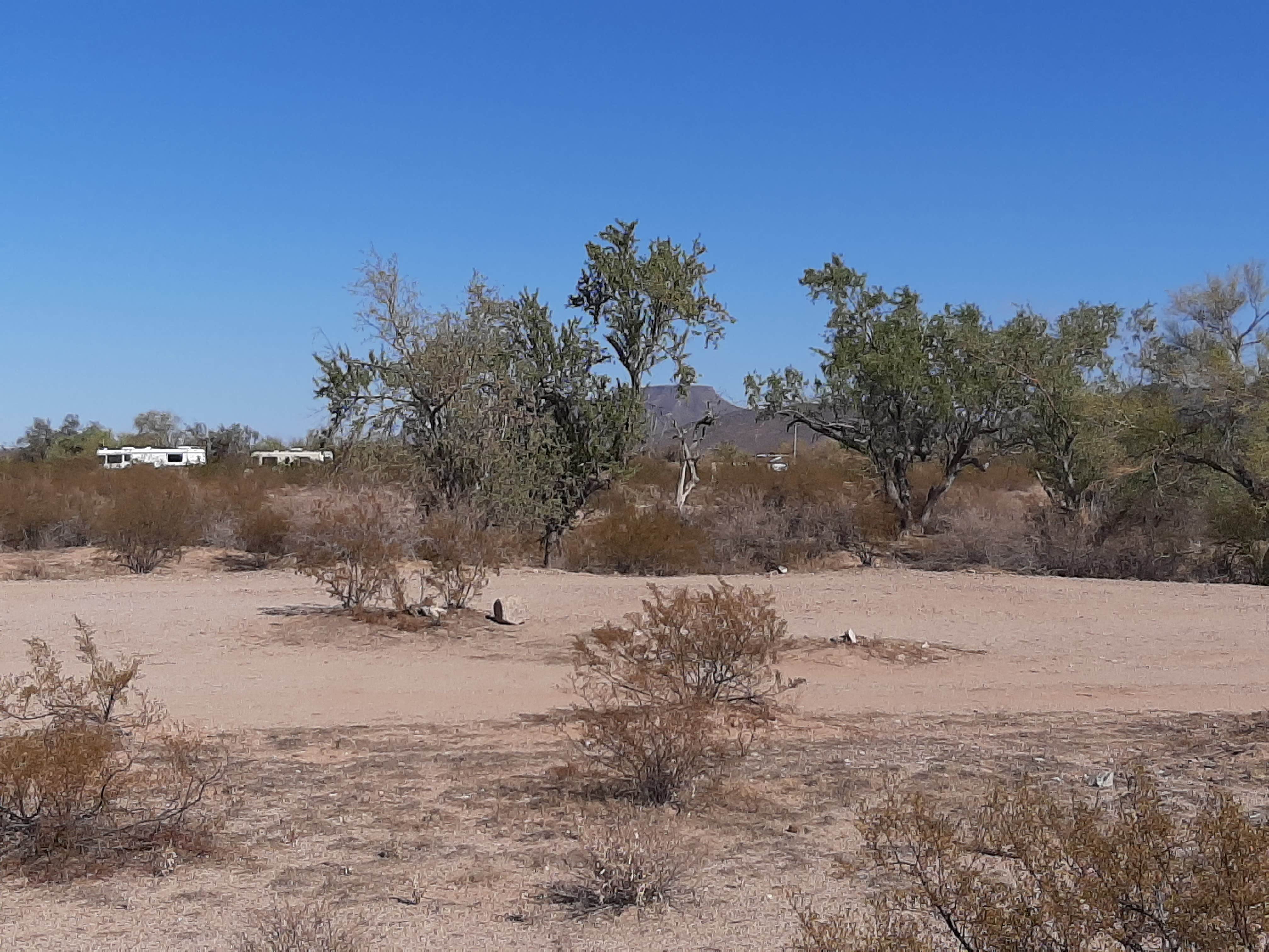 Camper-submitted photo at Gunsight Wash BLM Dispersed camping area near Ajo, AZ