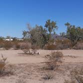 Review photo of Gunsight Wash BLM Dispersed camping atea by Larry B., December 21, 2020