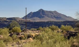 Camping near Gachado Line Camp — Organ Pipe Cactus National Monument: Darby Wells Rd BLM Dispersed, Ajo, Arizona