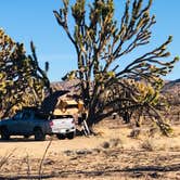 Review photo of Mojave National Preserve Black Canyon Equestrian and Group Campground — Mojave National Preserve by Luis R., December 21, 2020