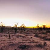 Review photo of Mojave National Preserve Black Canyon Equestrian and Group Campground — Mojave National Preserve by Luis R., December 21, 2020