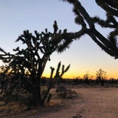 Review photo of Mojave National Preserve Black Canyon Equestrian and Group Campground — Mojave National Preserve by Luis R., December 21, 2020