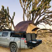 Review photo of Mojave National Preserve Black Canyon Equestrian and Group Campground — Mojave National Preserve by Luis R., December 21, 2020