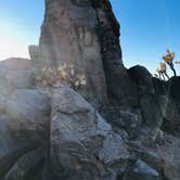 Review photo of Mojave National Preserve Black Canyon Equestrian and Group Campground — Mojave National Preserve by Luis R., December 21, 2020