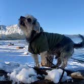 Review photo of Tahoe Valley Campground by Randy J., December 21, 2020