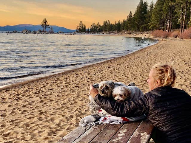 Randy J.'s photo of camping with pets at Tahoe Valley Campground near Gardnerville, NV
