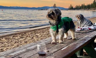 Randy J.'s photo of camping with pets at Tahoe Valley Campground near South Lake Tahoe, CA