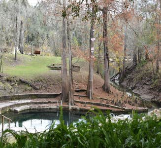 Camper-submitted photo from Suwannee River Rendezvous Resort