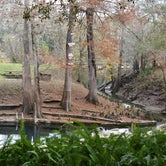 Review photo of Suwannee River Rendezvous Resort by Chelsea C., December 21, 2020