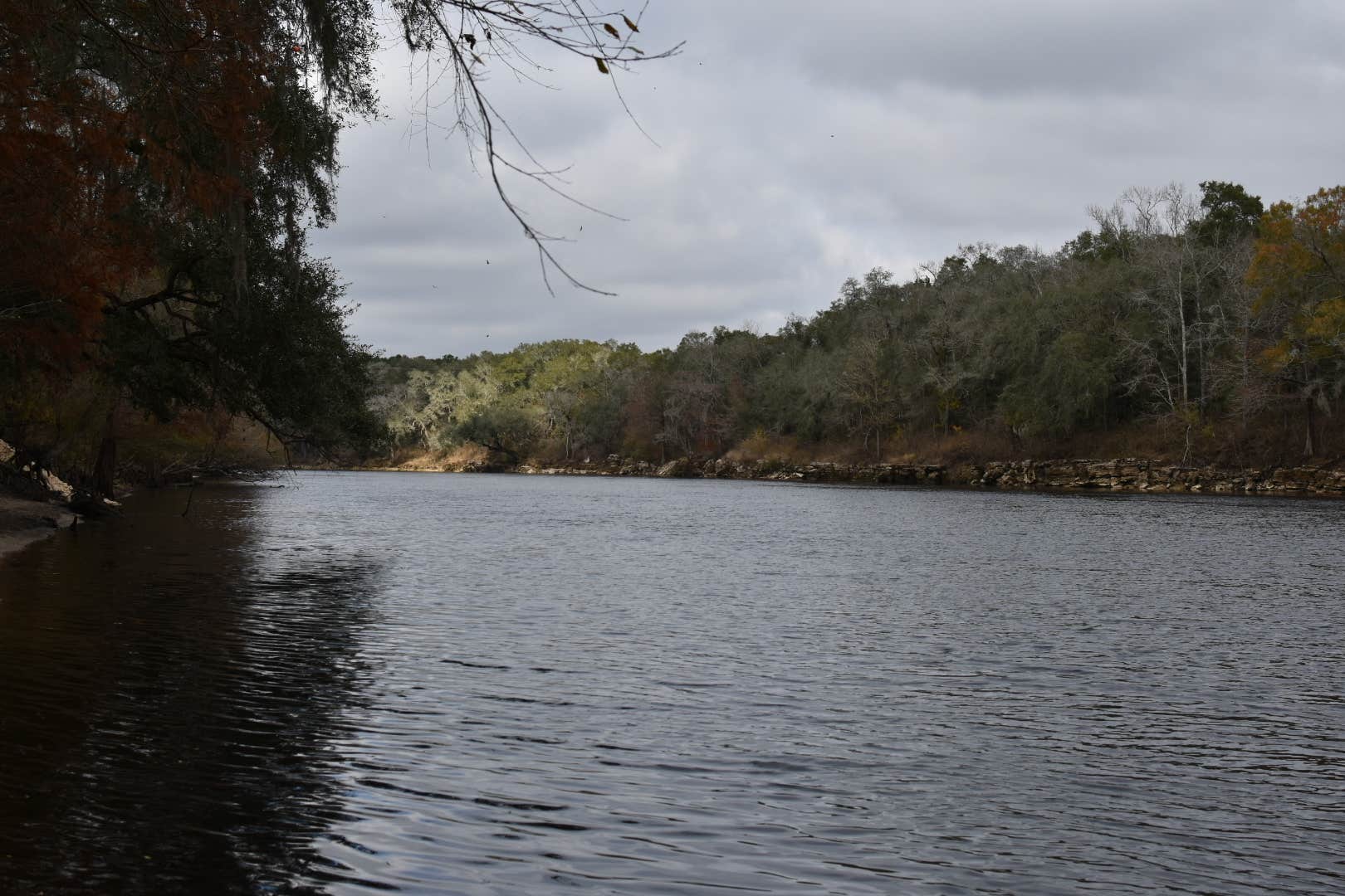 Camper-submitted photo at Suwannee River Rendezvous Resort near Fort White, FL