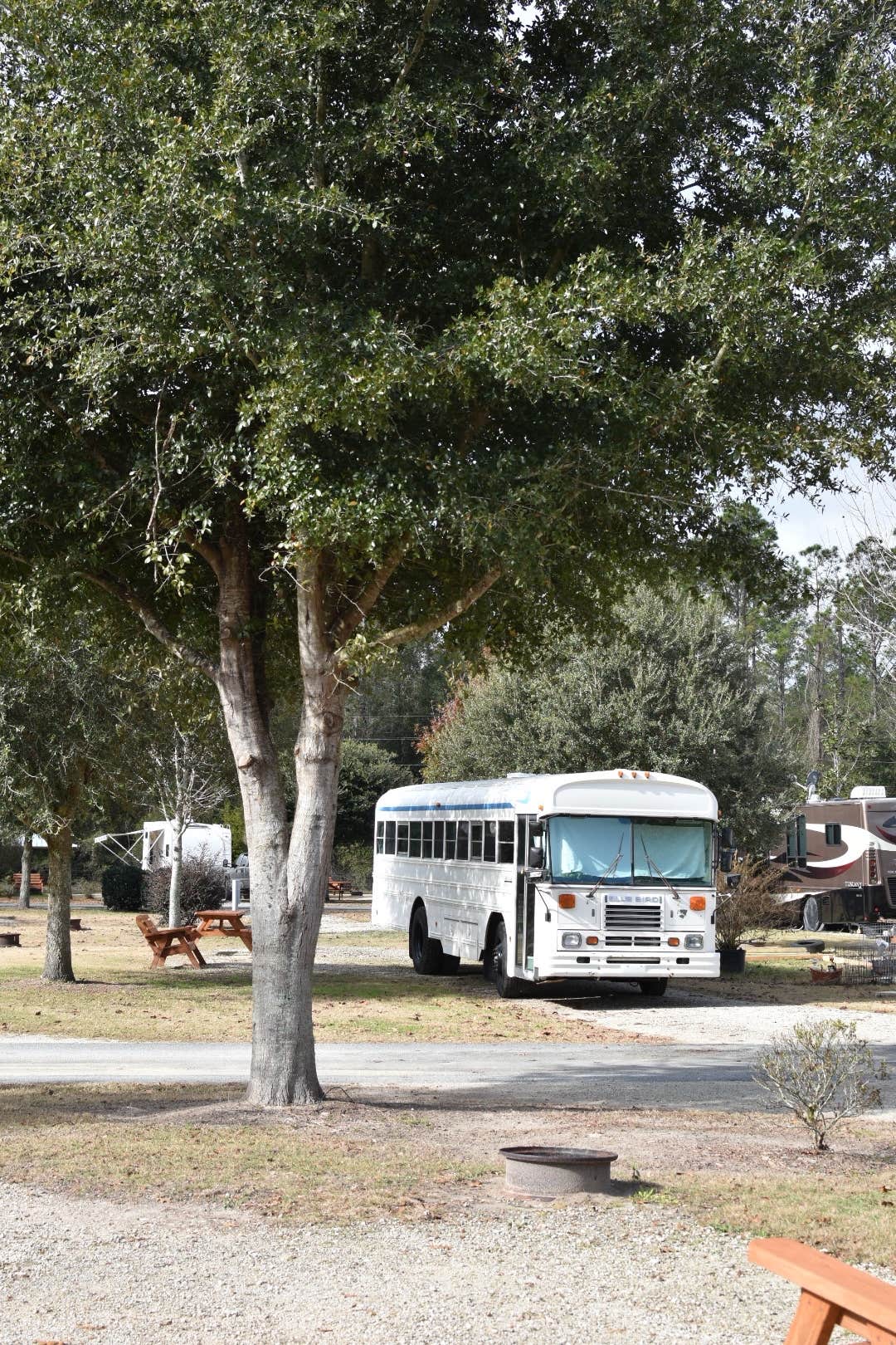 Camper submitted image from Suwannee River Rendezvous Resort - 1