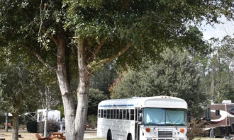 Camping near Lafayette Blue Springs State Park: Suwannee River Rendezvous Resort, Mayo, Florida