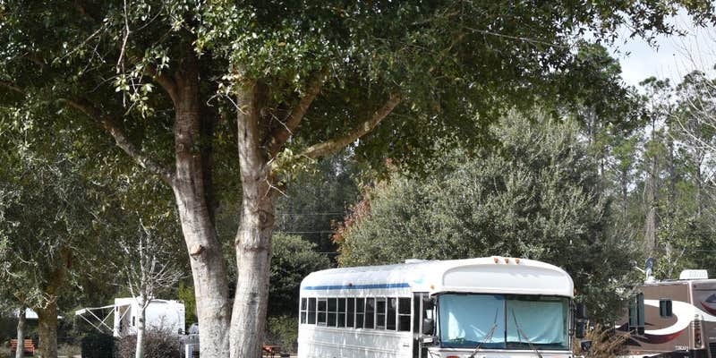 Camper submitted image from Suwannee River Rendezvous Resort