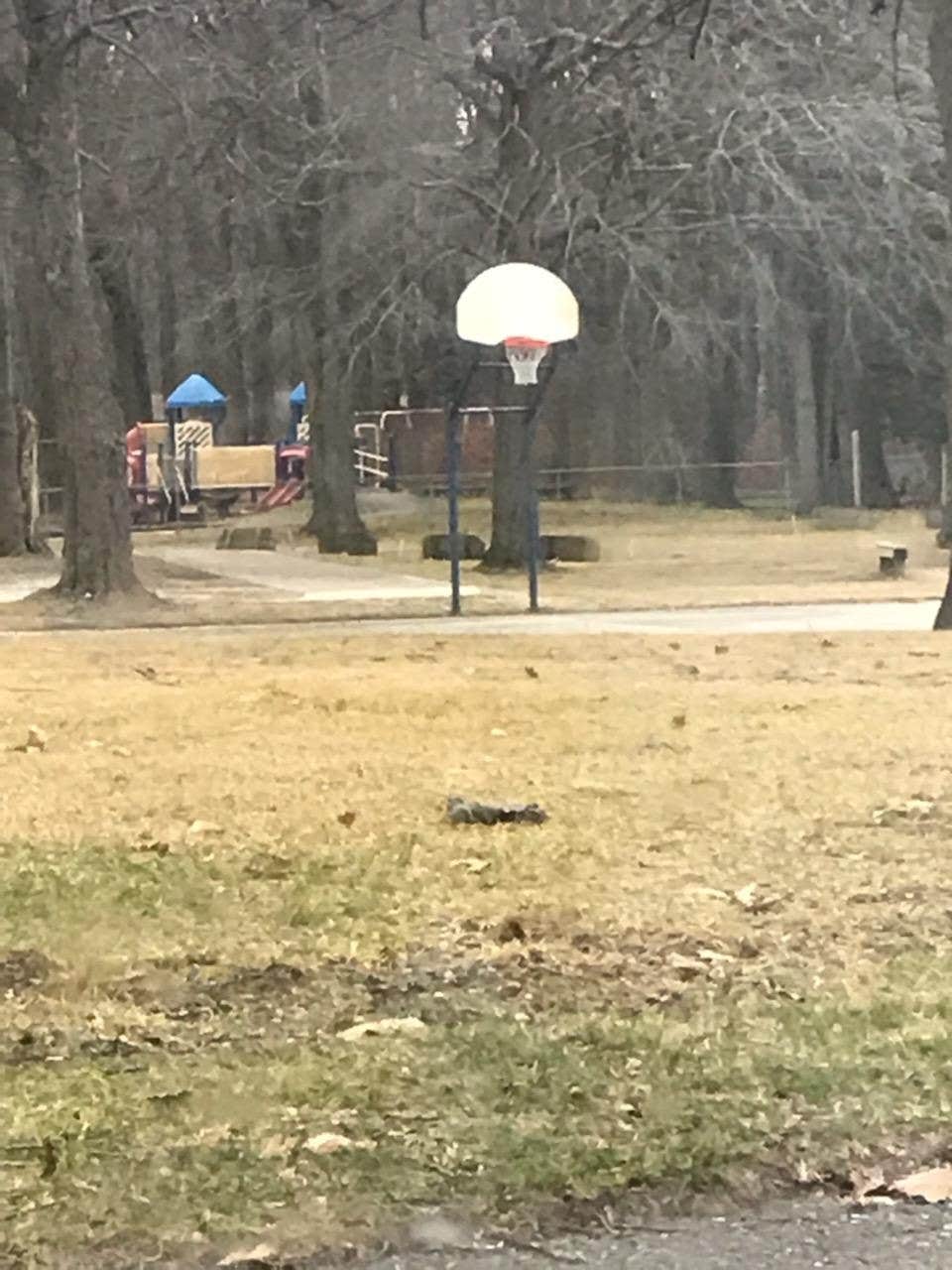 Camping near Allendale-West Grand Rapids KOA: Ottawa County Fairgrounds, Macatawa, Michigan