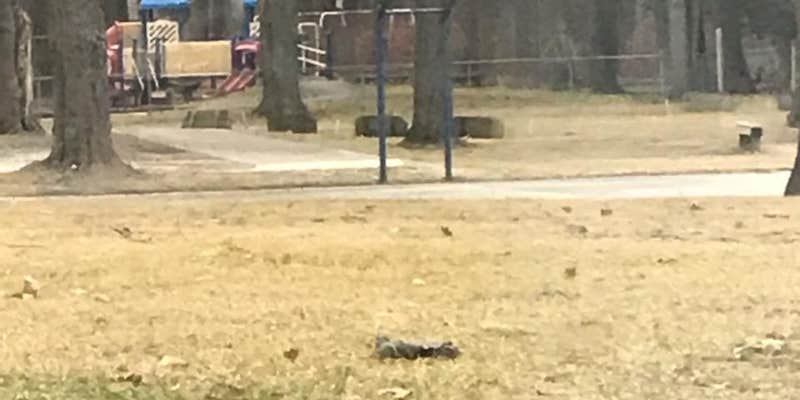 Camper submitted image from Ottawa County Fairgrounds