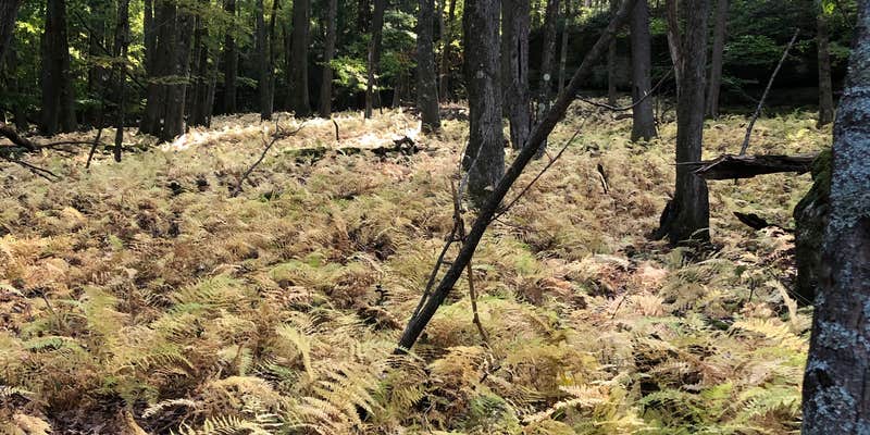 Camper submitted image from Morrison Campground