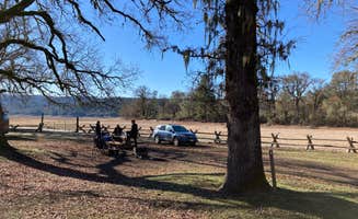 Christian N.'s photo at Oak Flat Campground near Elk Creek, CA