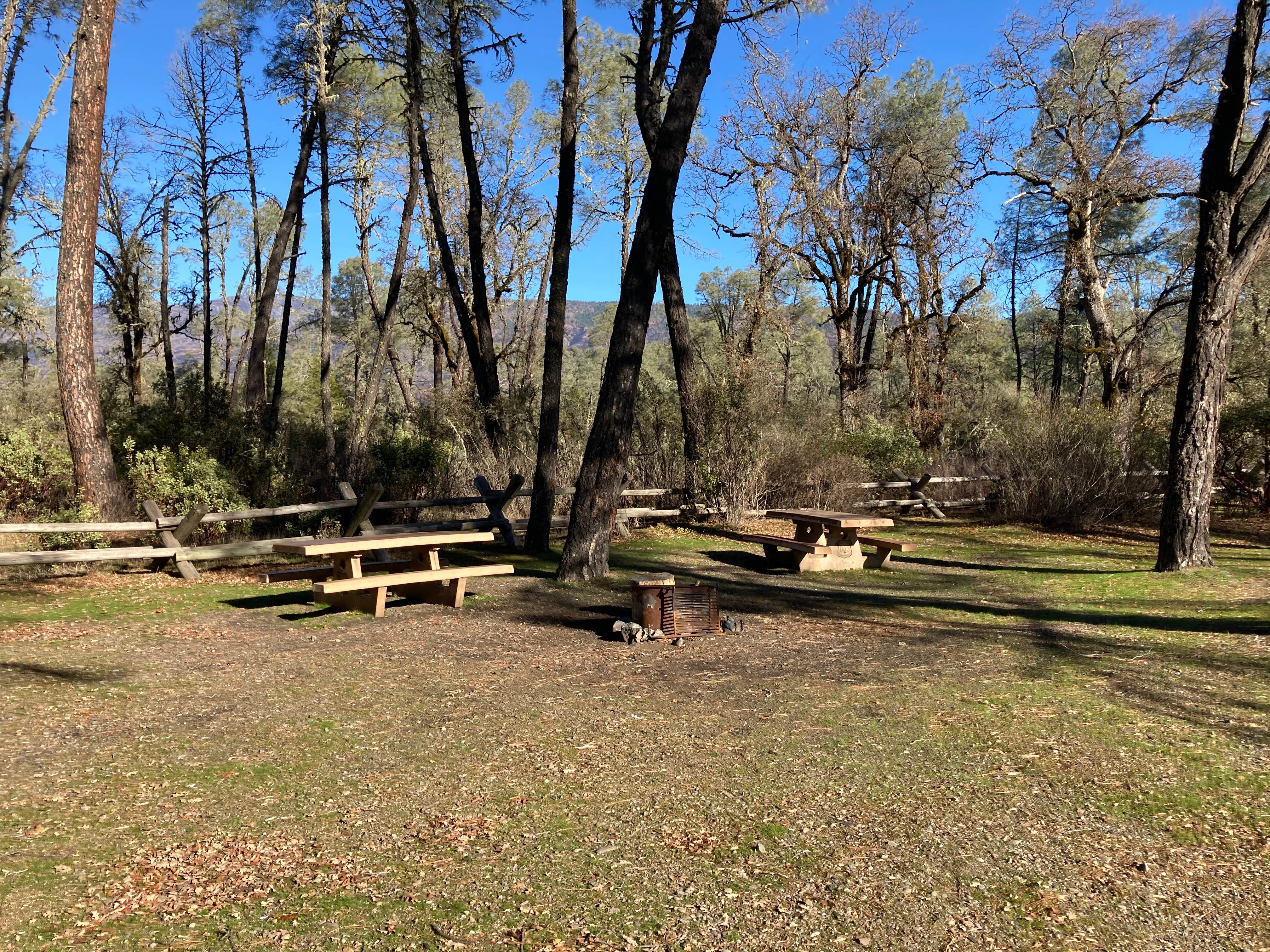 Camper submitted image from Oak Flat Campground - 3
