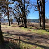 Review photo of Oak Flat Campground by Christian N., December 22, 2020