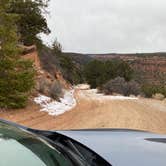 Review photo of Big Dominguez Campground by TJ C., December 22, 2020