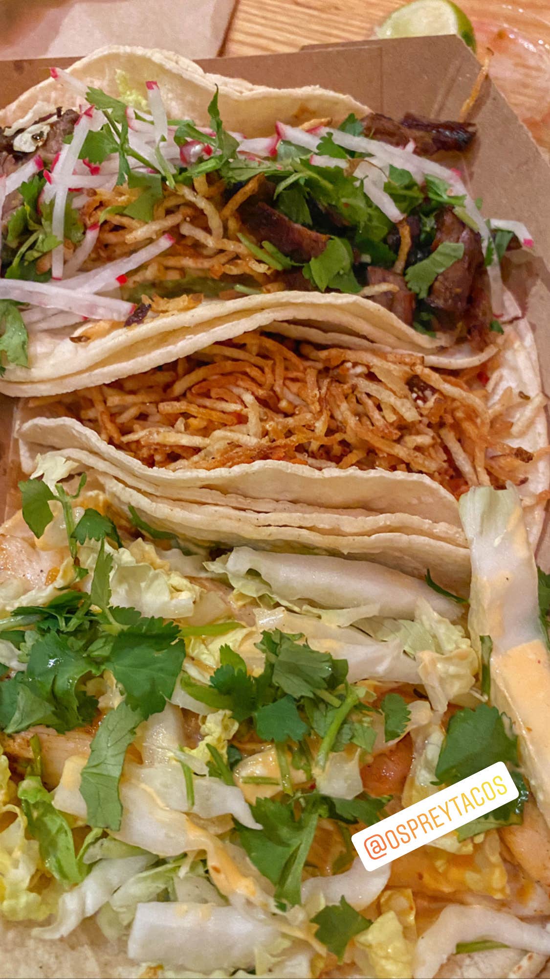 Anastasia State Park Campground