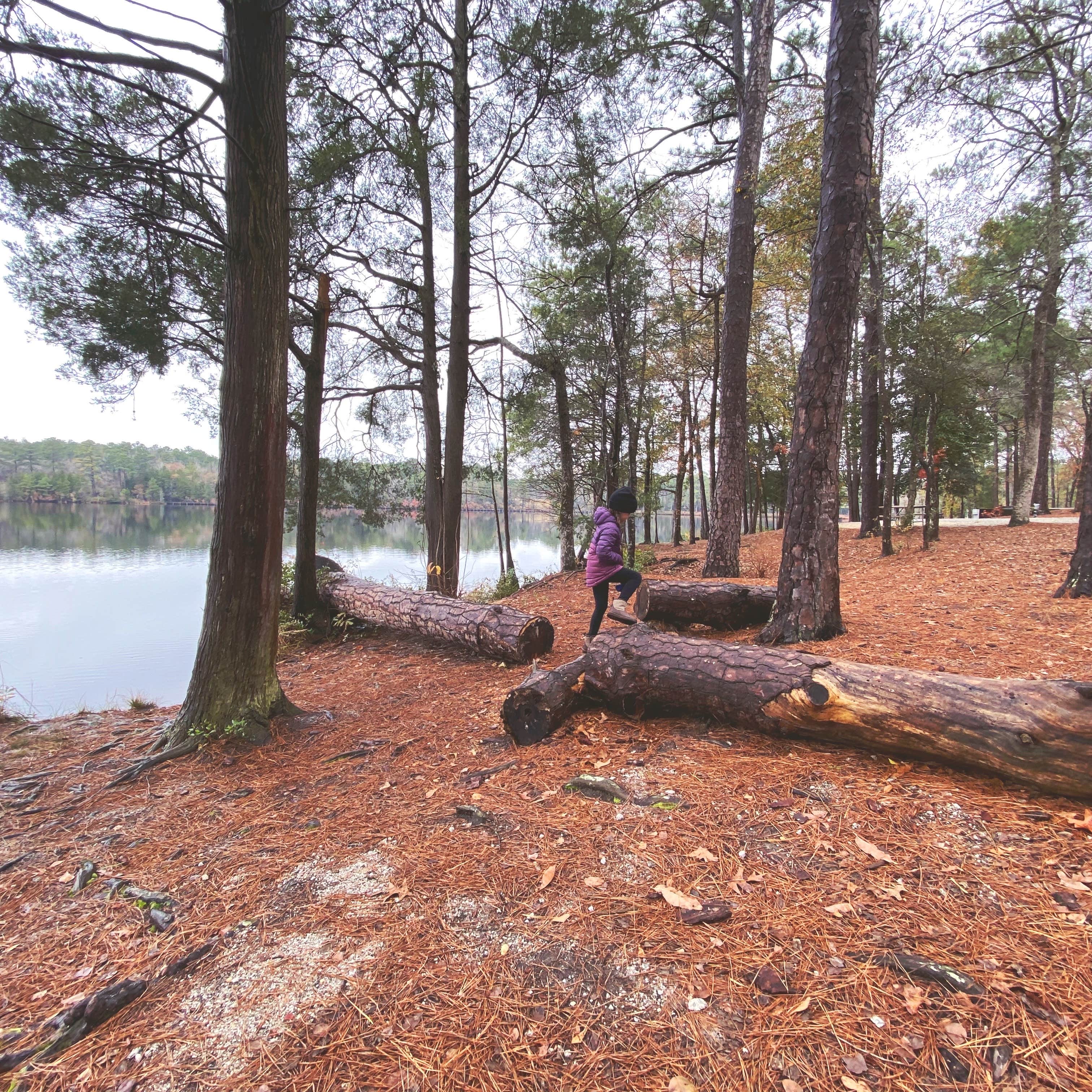 Escape to the Pines: Cheraw State Park, South Carolina's Hidden Gem