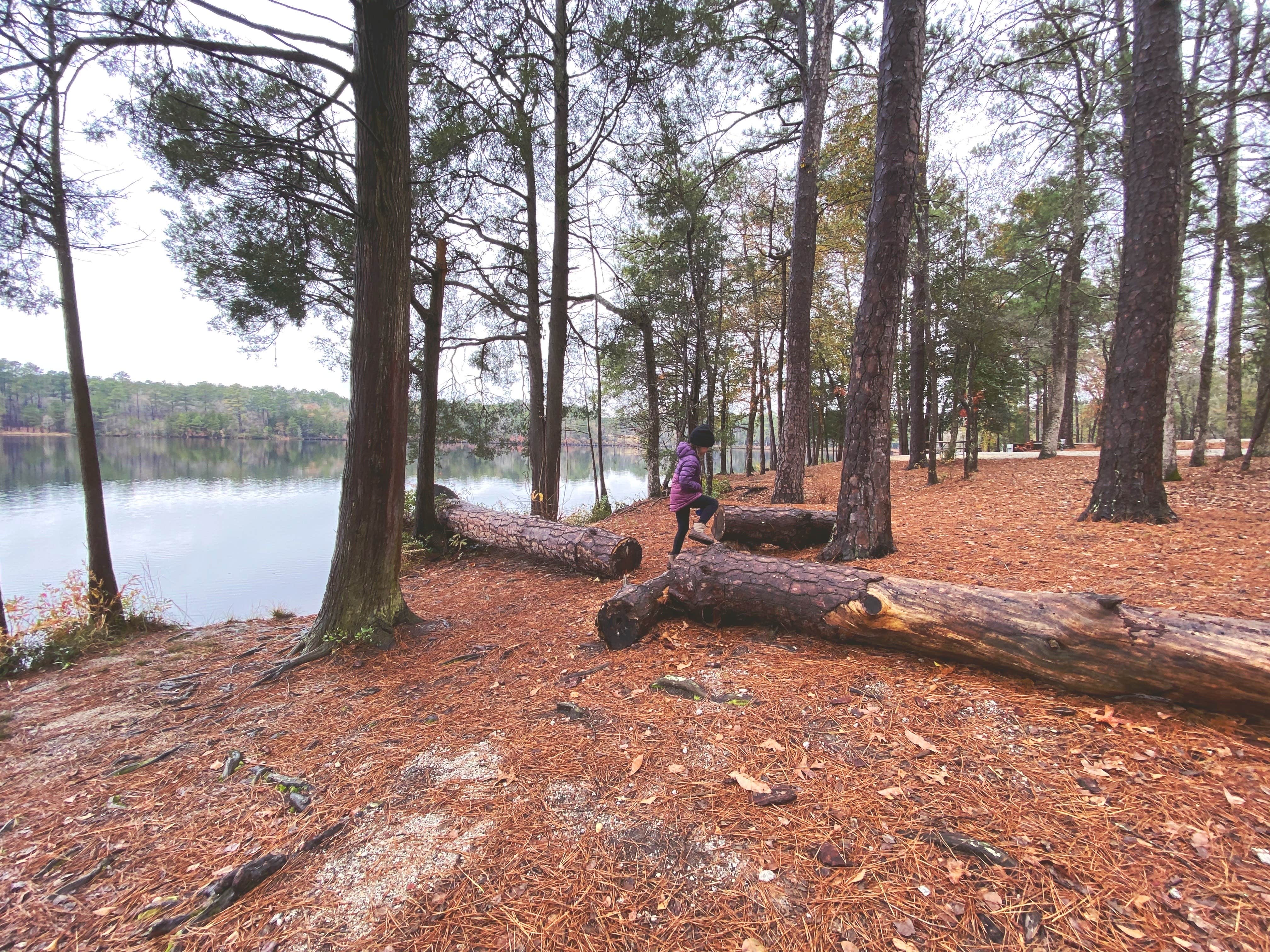 Camper submitted image from Cheraw State Park Campground — Cheraw State Park - 5