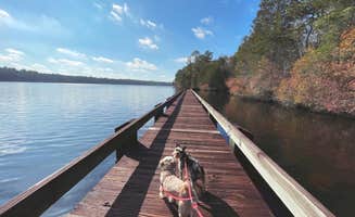 Sara M.'s photo of camping with pets at Cheraw State Park Campground — Cheraw State Park near Florence, SC