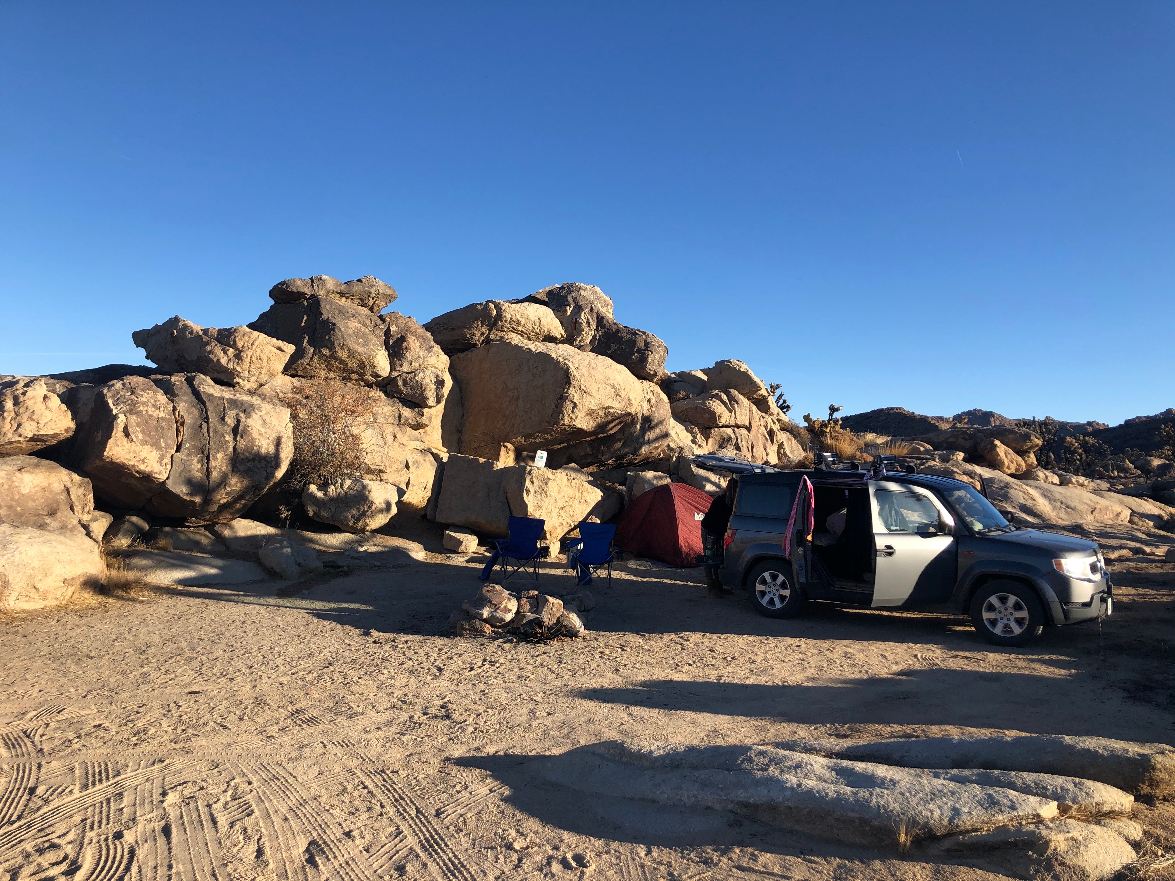 Camper submitted image from Mojave Cross Dispersed — Mojave National Preserve - 1