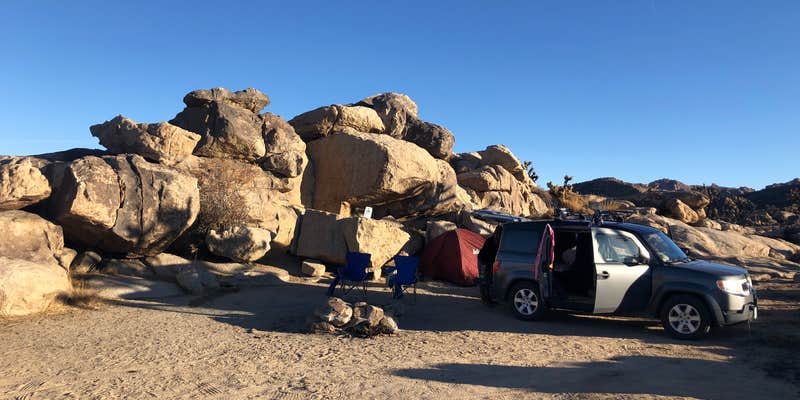 Camper submitted image from Mojave Cross Dispersed — Mojave National Preserve