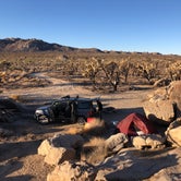 Review photo of Mojave Cross Dispersed — Mojave National Preserve by Jake , December 22, 2020